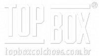 logo_topbox